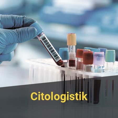 Citologistik Software LOGBUCH Module und Features